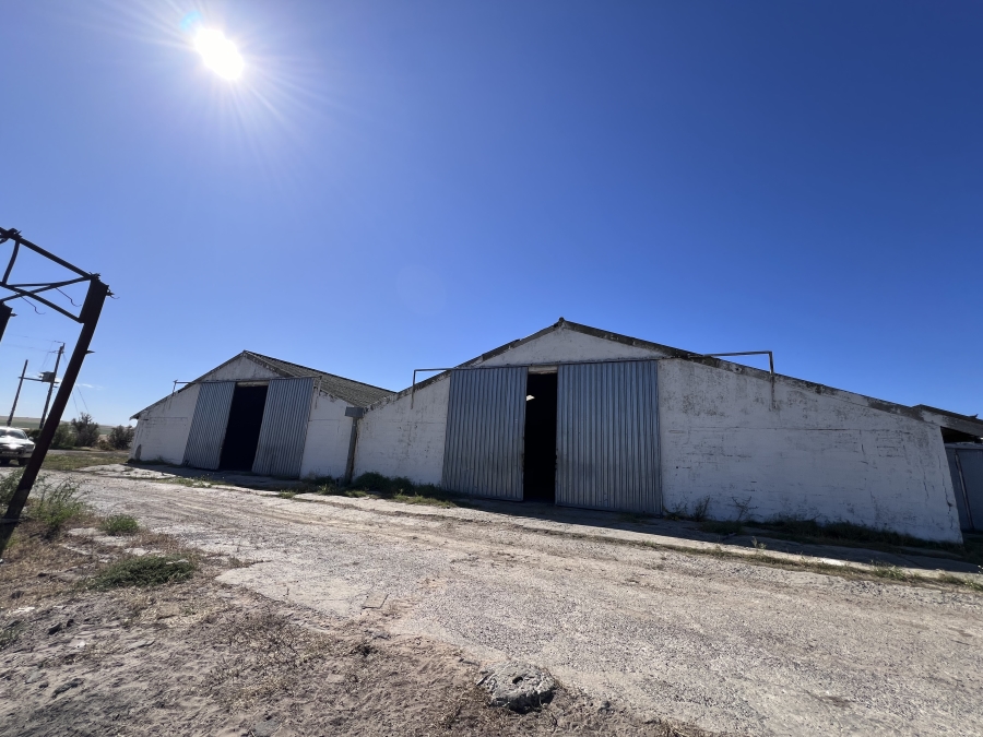 To Let commercial Property for Rent in Philadelphia Western Cape